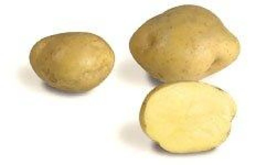 kodintavaratalo202609131458071751582