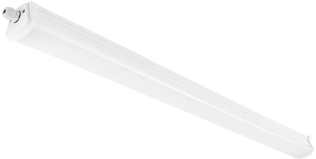 netrauta-1202609180601322489739