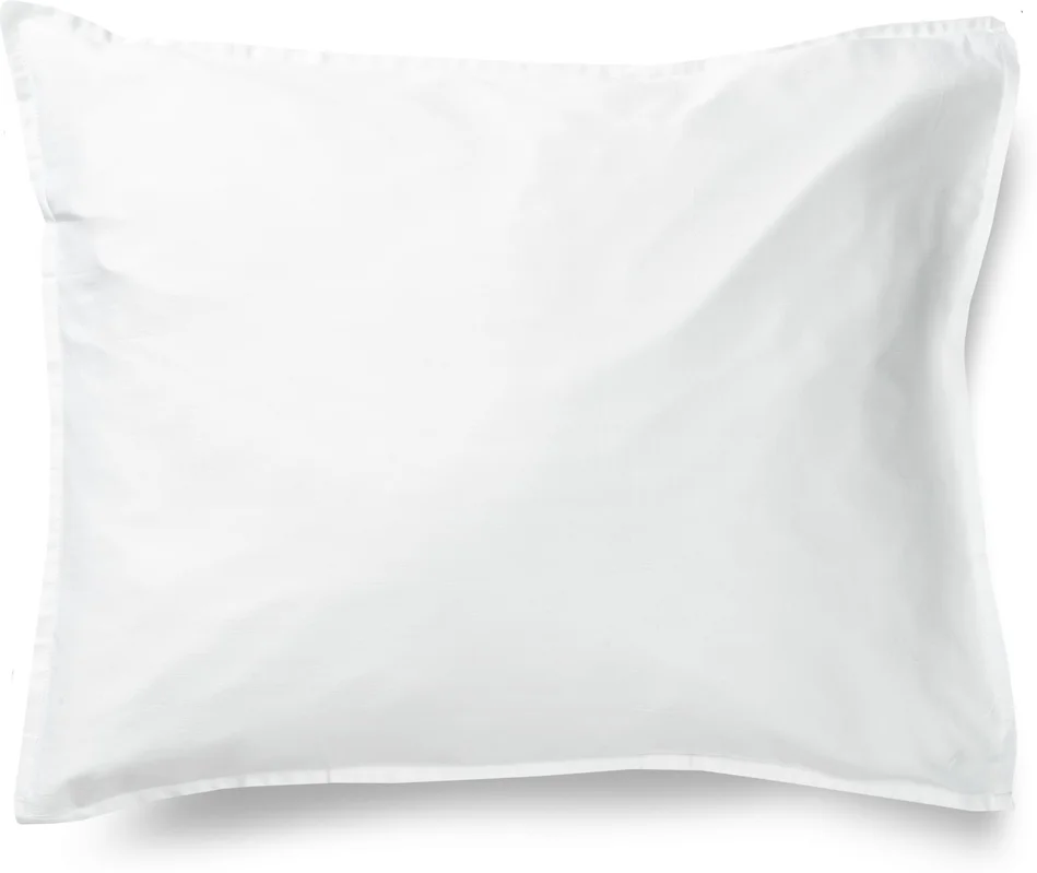 netrauta-1202609190143342651003