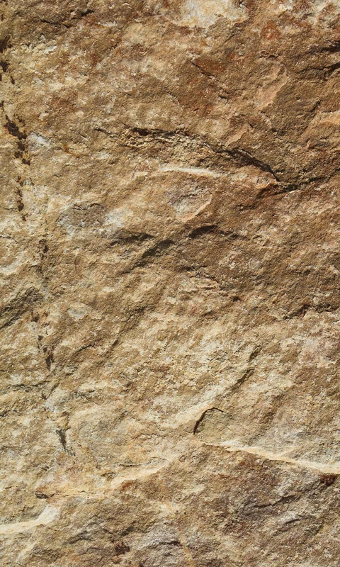 netrauta-1202609192042462822438