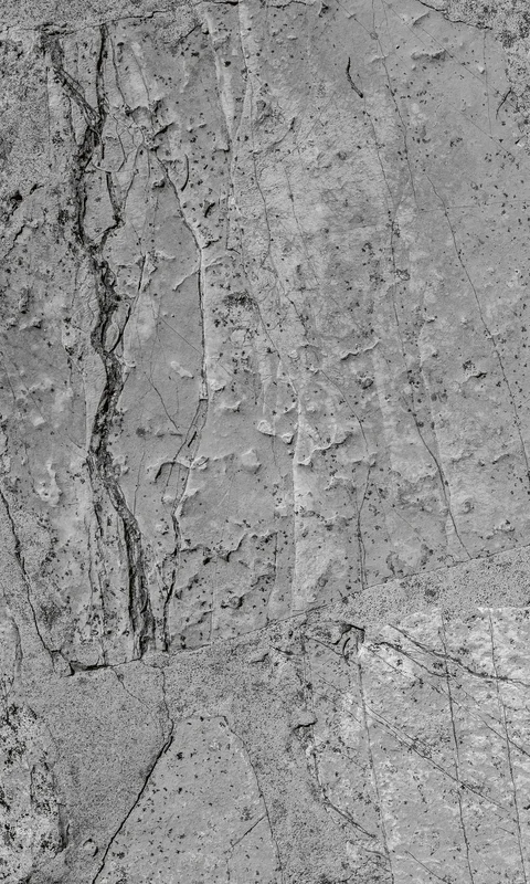 netrauta-1202609192126462833319