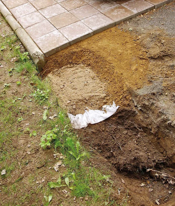 netrauta-1202609201225162965138