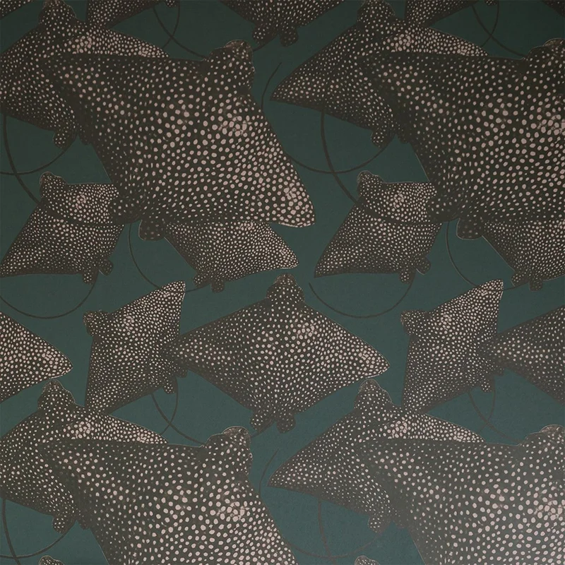 netrauta-2202609141009381928879