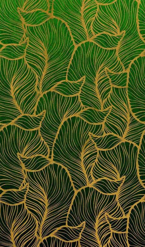 netrauta-2202609141250561944639