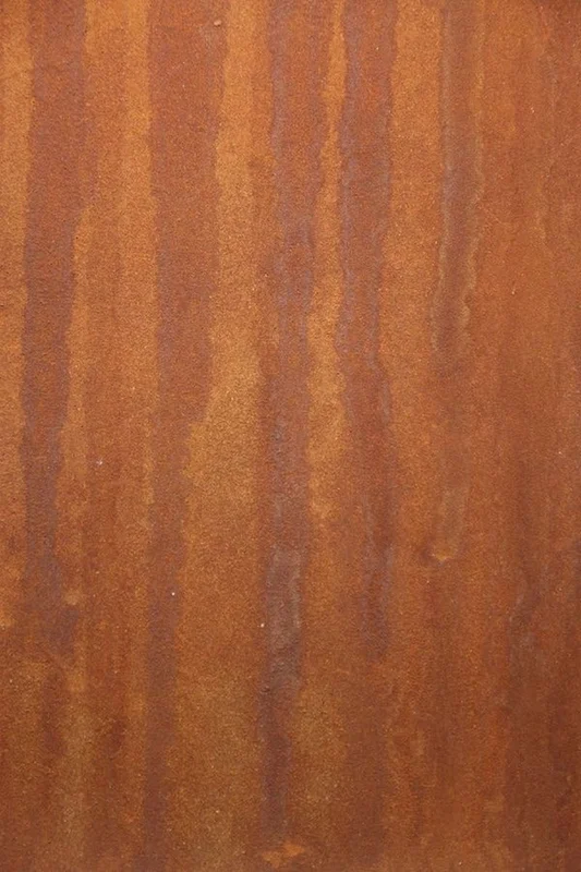 netrauta-2202609150900332074544
