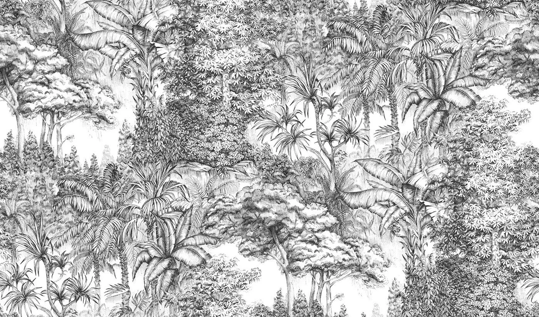 netrauta-2202609181420262551818