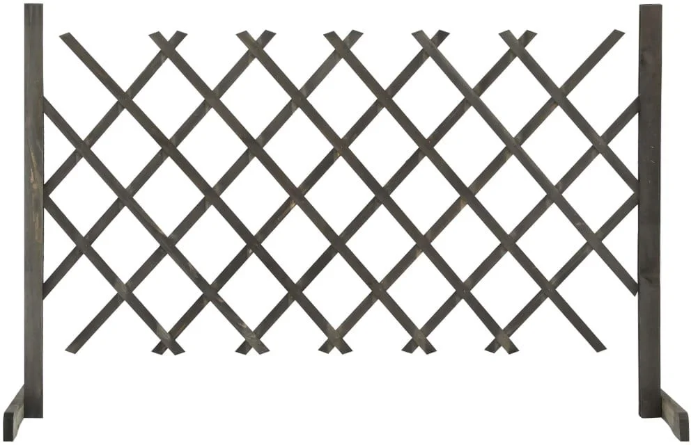 netrauta-2202609182246532625459