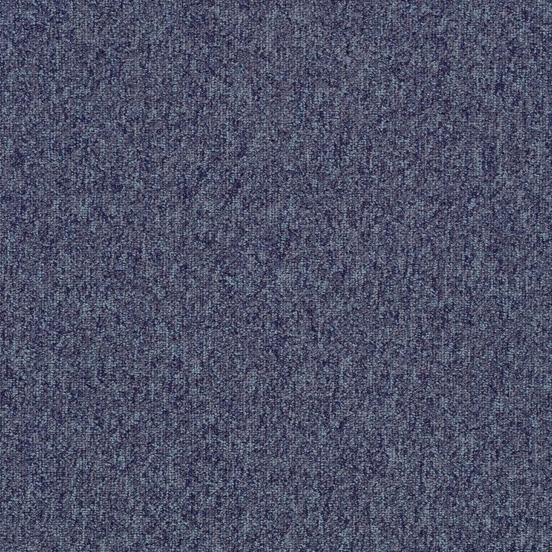 netrauta-2202609201557043001892