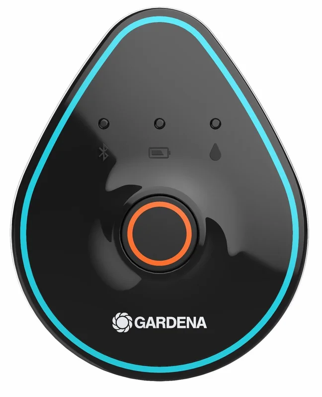 netrauta-2202609202111163036937