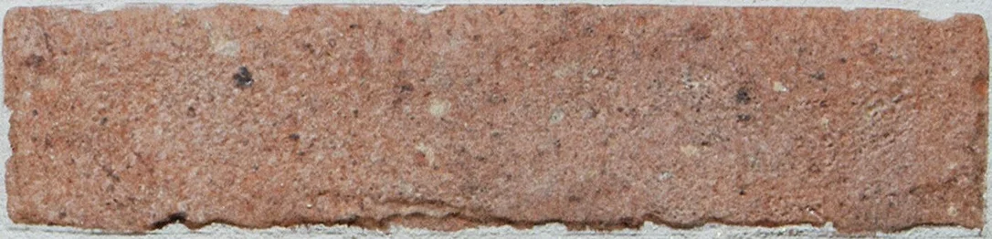 netrauta-2202609211349313144069