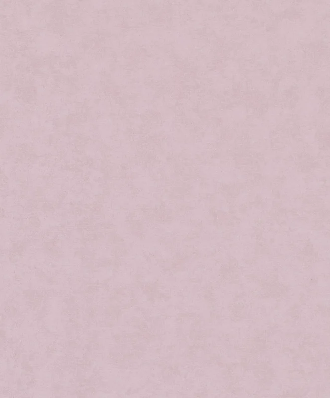 netrauta-3202609150050372024848