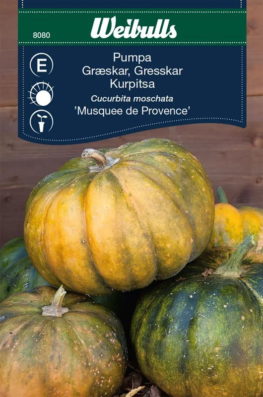netrauta-3202609181628032565164