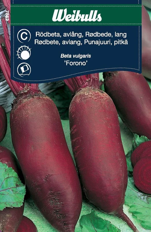 netrauta-3202609181725162577158